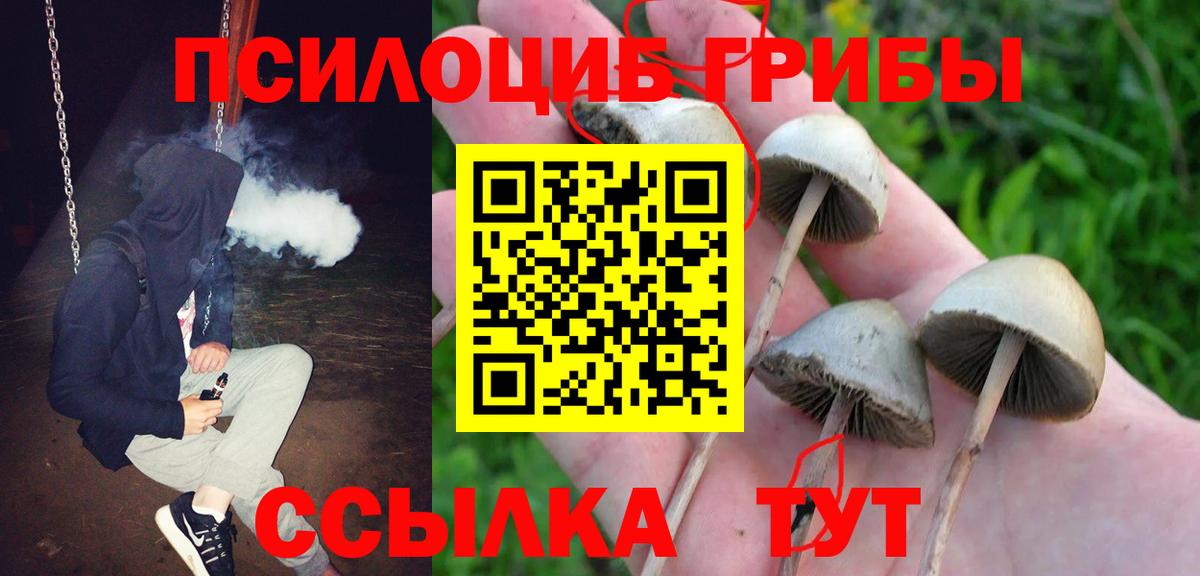 Ишимбай  Псилоцибиновые грибы Magic Shrooms  Вход с VPN 