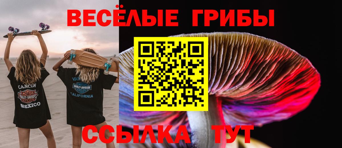 Псилоцибиновые грибы Cubensis Ишимбай